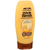 Garnier Whole Blends Repairing Conditioner Honey Treasures - 12.5 oz Thumbnail Image