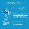 Carex Cane Bahama Thumbnail Image