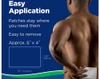 Salonpas Pain Relieving Gel-Patches Hot - 6 Ct. Thumbnail Image