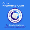 Nicorette 4mg Coated White Ice Mint - 100 ct Thumbnail Image