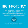 21st Century Slow Release Iron Tablets - 60 ct Thumbnail Image
