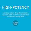 21st Century Iron 65 mg with  Ferrous Sulfate 325 mg - 120 Tablets Thumbnail Image