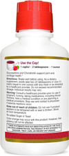 21st Century Glucosamine & Chondroitin Triple Strength,  Raspberry Flavored Liquid - 16 oz Thumbnail Image