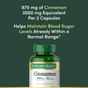 Nature's Bounty Cinnamon 2000 mg Plus Chromium Capsules - 60 ct Thumbnail Image