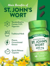 Nature's Truth Standardized St. John's Wort 300 mg Quick Release Capsules - 90ct Thumbnail Image