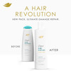 Dove Nutritive Solutions Daily Moisture Shampoo - 12 oz Thumbnail Image