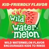 ACT Kids Anticavity Fluoride Rinse Watermelon - 16.9 oz Thumbnail Image