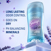 Secret Scent Expressions Invisible Solid Lavender - 2.6 oz Thumbnail Image