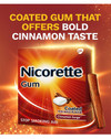 Nicorette Gum 2mg Cinnamon Surge - 100 ct Thumbnail Image