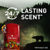 Old Spice Wild Collection Anti-Perspirant & Deodorant Bearglove - 2.6 oz Thumbnail Image