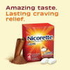 Nicorette Gum 4mg Cinnamon Surge - 100 ct Thumbnail Image