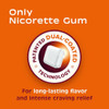 Nicorette Gum 4mg Cinnamon Surge - 100 ct Thumbnail Image
