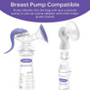 Lansinoh Breastmilk Storage Bags - 25 ct Thumbnail Image