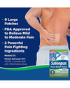 Salonpas Pain Relief Patches Large  - 9 ct Thumbnail Image