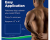 Salonpas Pain Relief Patches Large  - 9 ct Thumbnail Image