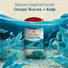 Old Spice Fresher Collection Deep Sea Scent Anti-Perspirant/Deodorant Invisible Solid - 2.6 oz Thumbnail Image