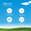 Claritin 24 Hour Indoor & Outdoor Allergy RediTabs - 10 ct Thumbnail Image