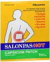 Salonpas-Hot Capsicum Patch - 3 ct Thumbnail Image
