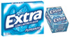 Extra Pepperminnt Sugar Free Gum 15 Count (Pack of 10) Thumbnail Image