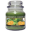 Jar Candle - 16 oz Sage & Citrus Thumbnail Image