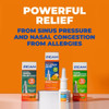 Zicam Intense Sinus Relief Nasal Spray - .5 oz Thumbnail Image