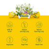 Ricola Sugar Free Herb Throat Drops Lemon Mint - 19 ct Thumbnail Image