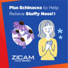 Zicam Cold Remedy RapidMelts Lemon-Lime Flavor - 25 Ct. Thumbnail Image