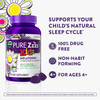 Vicks PURE Zzzs Kidz Melatonin + Chamomile & Lavender Gummies Natural Berry - 24 ct Thumbnail Image