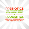 Align Gut Health & Immune Support Prebiotics and Probiotics Supplement Thumbnail Image