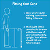 Carex Stand Assist Walking Cane Thumbnail Image