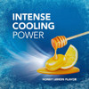 Vicks VapoCool Medicated Drops Honey Lemon Chill - 18 ct Thumbnail Image