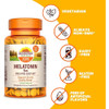 Sundown Naturals Extra Strength Melatonin 5 mg Tablets - 60 ct Thumbnail Image