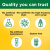 Nature Made Iron 18 mg with Vitamin C Gummies Raspberry - 60 ct Thumbnail Image