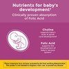 Nature Made Prenatal Gummies Mixed Berry - 60 ct Thumbnail Image