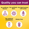 Nature Made Prenatal Gummies Mixed Berry - 60 ct Thumbnail Image
