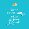 Dove Care & Protect Antibacterial Body Wash - 20 oz Thumbnail Image