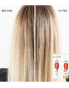 Pantene Pro-V Radiant Color Shine Shampoo - 12 oz Thumbnail Image