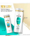 Pantene Pro-V Smooth & Sleek 2 in 1 Shampoo & Conditioner - 12 oz Thumbnail Image