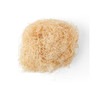 Panacea Excelsior Package 1.9L Natural Thumbnail Image