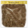 Panacea Spanish Moss Pkg Natural - 16 oz Thumbnail Image