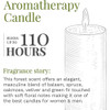 Terrace Jar Candle, Island Belli - 18 oz Thumbnail Image