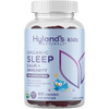 Hyland's Naturals Kids Organic Sleep Aid Gummies, Mixed Berry - 60 ct Thumbnail Image