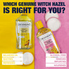 Dickinson's Original Witch Hazel Pore Perfecting Toner - 16oz Thumbnail Image