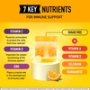 Airborne Original Immune Support Effervescent Tablets Zesty Orange - 20 ct Thumbnail Image