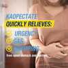 Kaopectate Bismuth Subsalicylate Diarrhea & Upset Stomach Reliever Soft Chews Strawberry - 24 ct Thumbnail Image