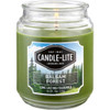 Terrace Jar Candle, Balsam Forest - 18 ounce – with Gentle and Reliable Fit Thumbnail Image
