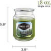 Terrace Jar Candle, Balsam Forest - 18 ounce – with Gentle and Reliable Fit Thumbnail Image