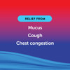 Diabetic Tussin Maximum Strength Cough & Chest Congestion DM Liquid Berry Sugar Free - 8 oz Thumbnail Image