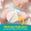 Pampers Baby-Dry Diapers Size 6 - 21 ct Thumbnail Image