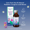 Hyland's Naturals Kids Cough & Mucus Liquid Nighttime Grape - 4 oz Thumbnail Image
